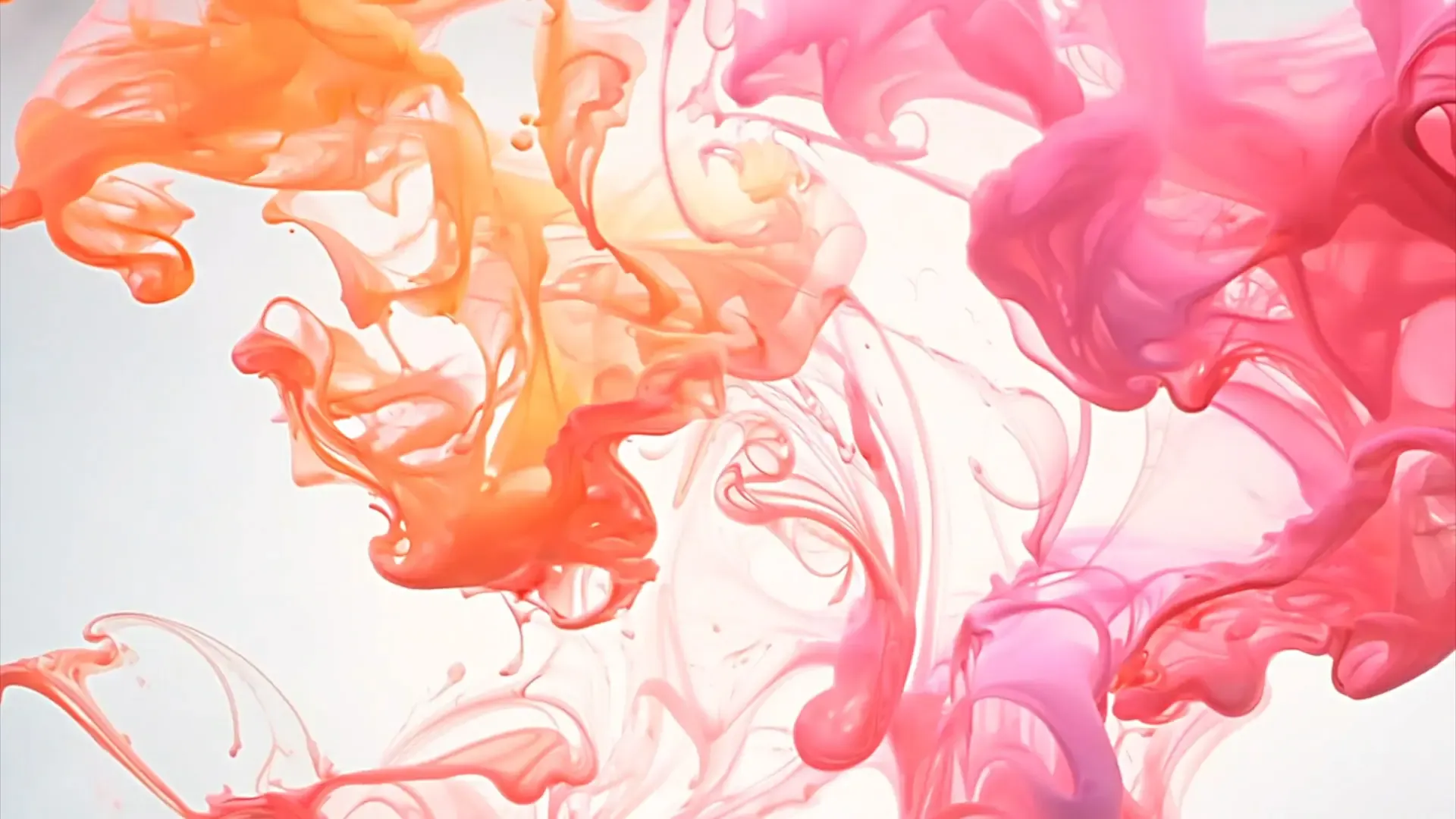 Vibrant Paint Flow Overlay for Logo Animation and Artistic Branding Videos